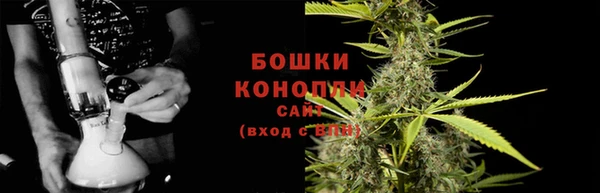 соль ск Арсеньев
