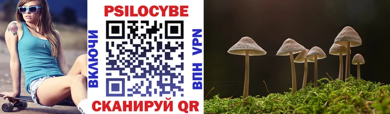 Псилоцибиновые грибы прущие грибы  Сясьстрой 